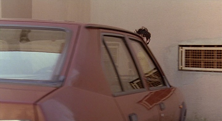 1983 Alfa Romeo 33 1a serie [905]