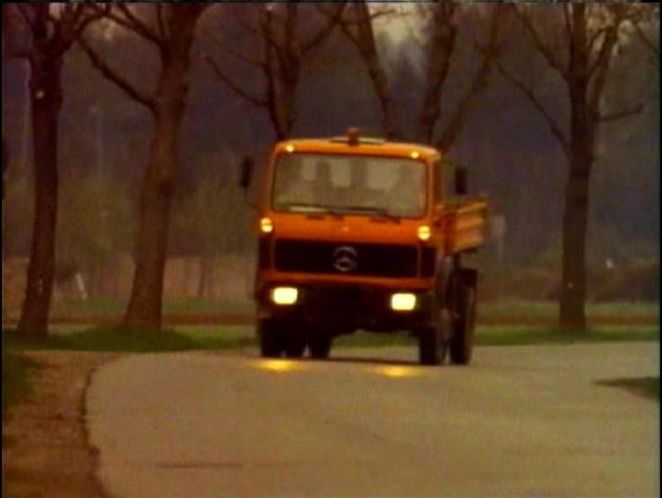 1980 Mercedes-Benz [NG]