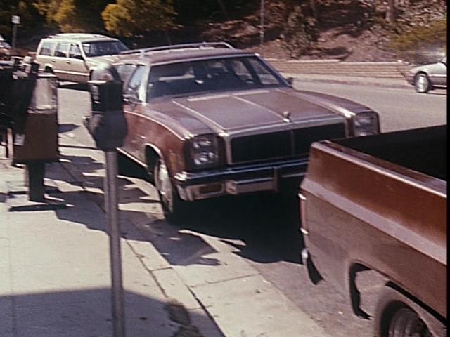 1976 Chevrolet Chevelle Malibu Classic Station Wagon