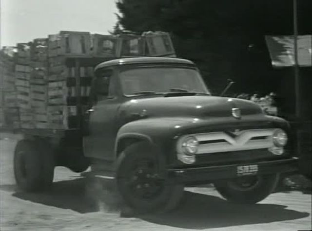 1955 Ford F-Series Medium Duty