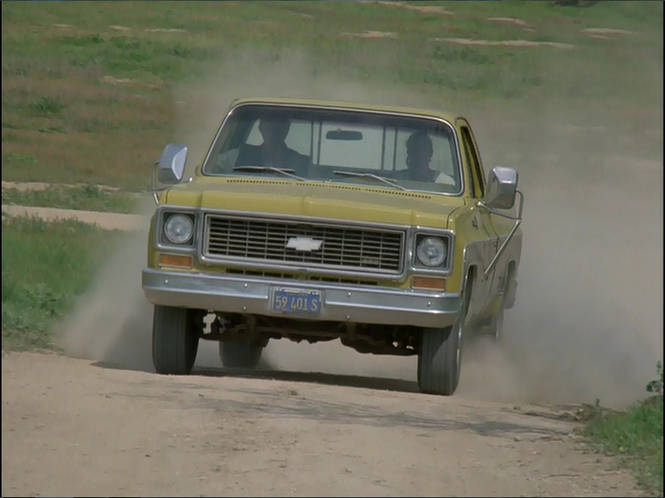 1973 Chevrolet C-20 Cheyenne Fleetside