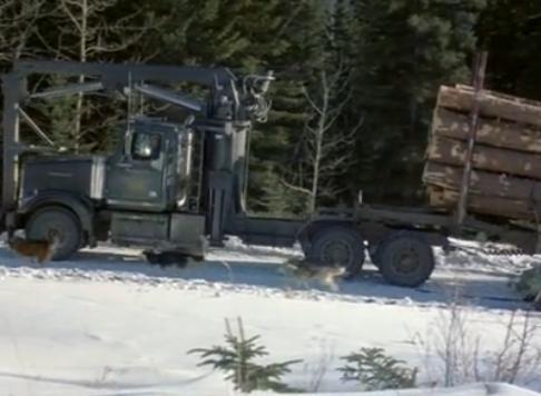 Western Star 4900