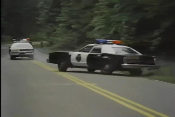 1977 Ford LTD II