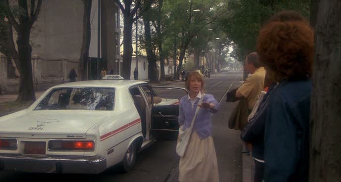 1974 VAM Rambler Classic