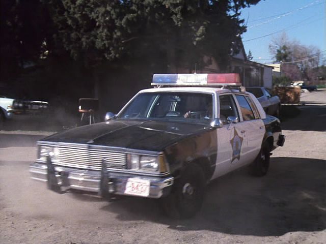 1981 Chevrolet Malibu 9C1