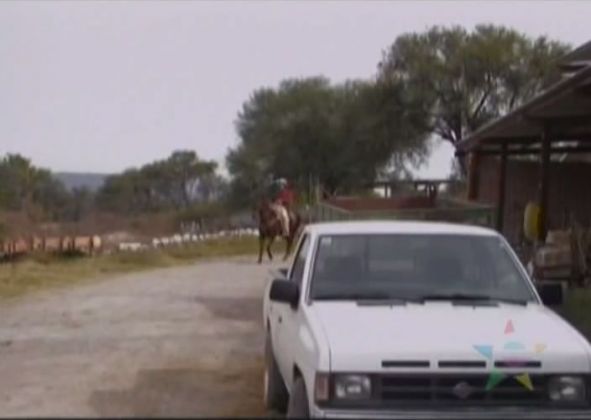 1990 Nissan Pick-Up Cabina Regular [D21]