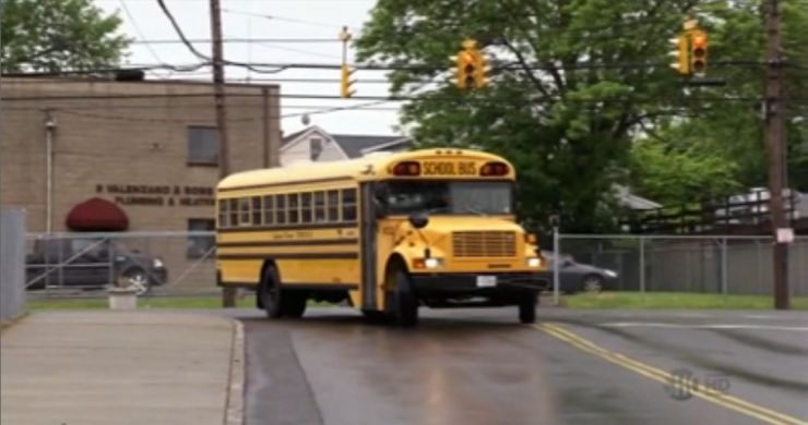 1994 International 3000-Series Blue Bird Conventional