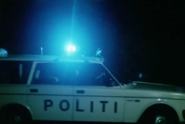 1981 Volvo 245