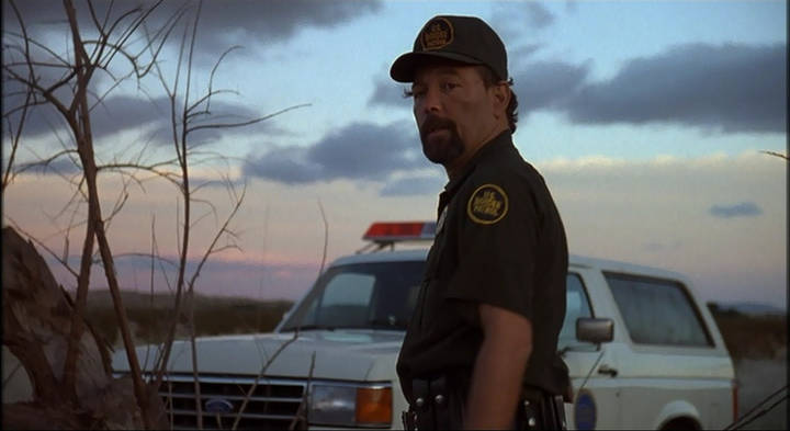 1989 Ford Bronco XLT [U15]