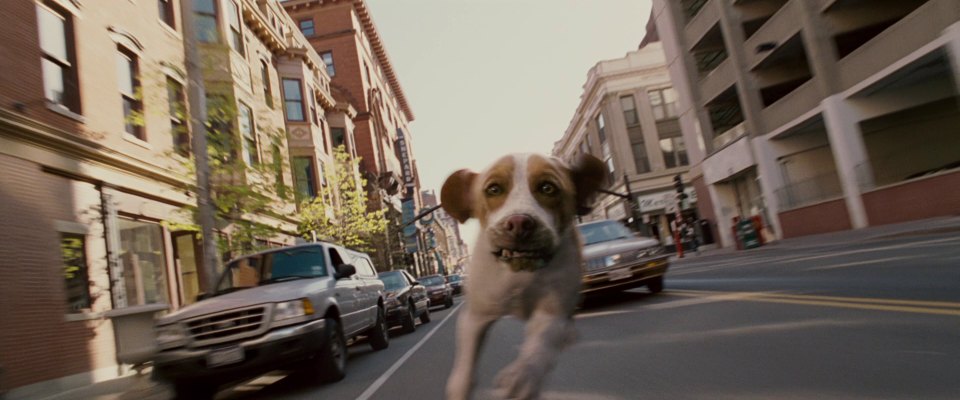 2001 Ford Ranger Regular Cab XLT [PN150]