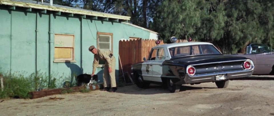 1964 Ford Custom [54]