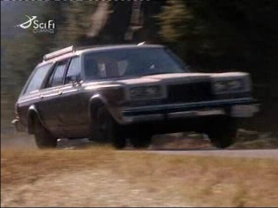 1981 Dodge Diplomat Salon Wagon