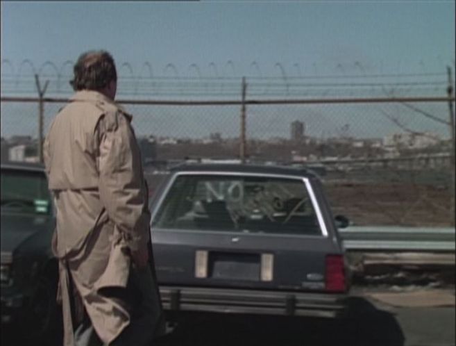 1982 Ford Escort Wagon