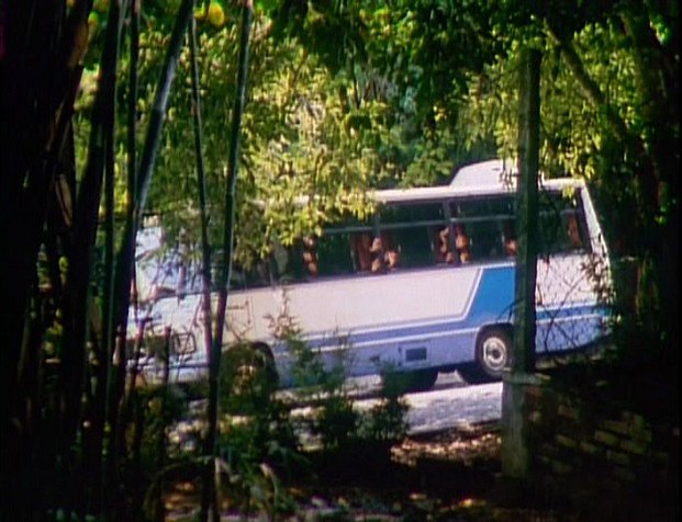 CAIO Carolina Mercedes-Benz LO-608D