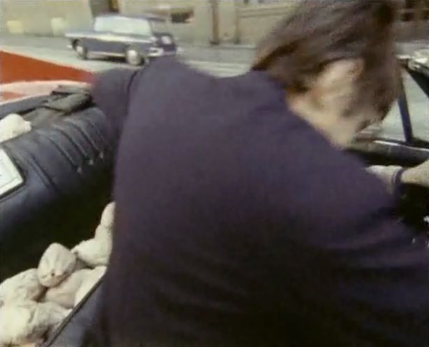 1964 Volkswagen Variant S [Typ 36]