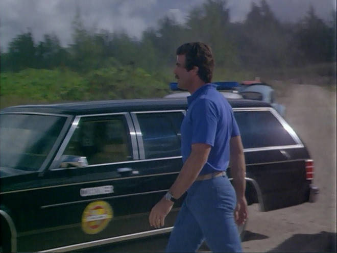 1979 Mercury Marquis Wagon