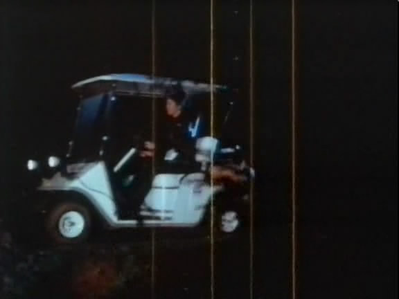 1971 Melex 202