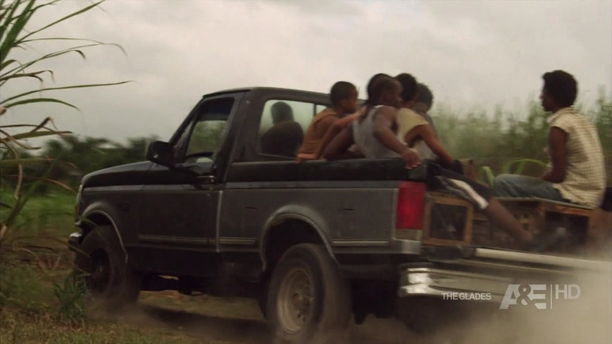 1994 Ford F-150 Regular Cab XLT