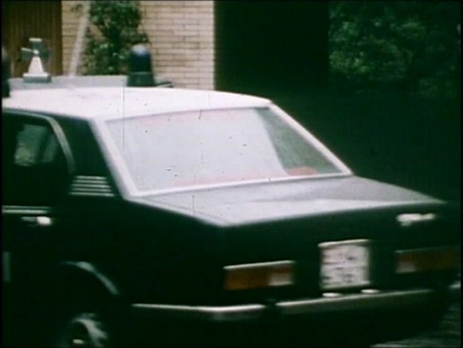 1975 Alfa Romeo Alfetta 1.8 1a serie [116.42]
