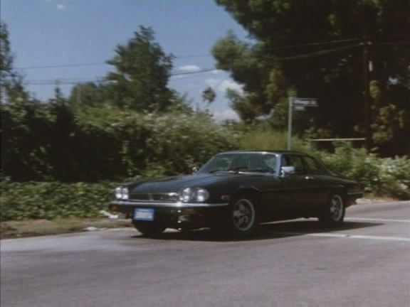 1982 Jaguar XJ-S 5.3 V12 H.E. [XJ27]