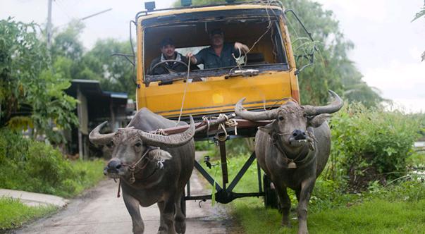 1988 Mitsubishi Fuso Fighter (Cab)
