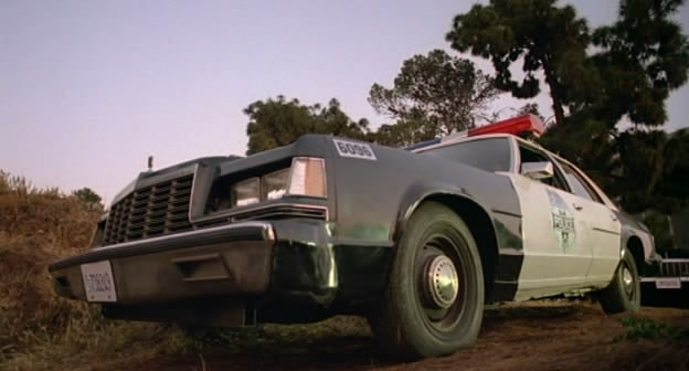1979 Dodge St. Regis