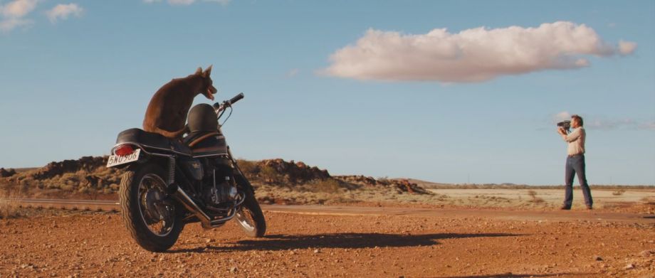 1977 Honda CB 750/4 K7