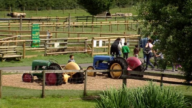 Ferguson TE 20 'Fergie'