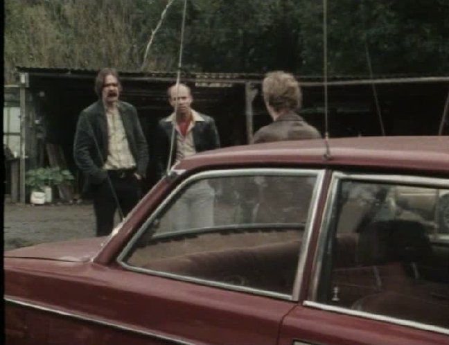 1972 Volvo 142
