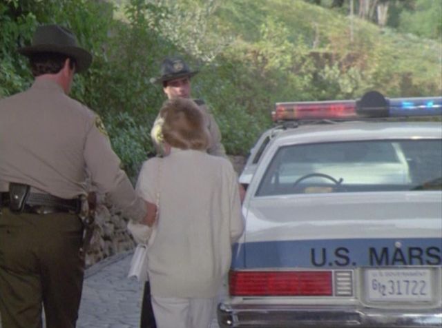 1981 Chevrolet Malibu 9C1