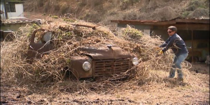 Studebaker R-Series