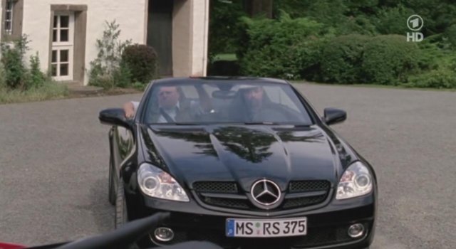 2009 Mercedes-Benz SLK [R171]