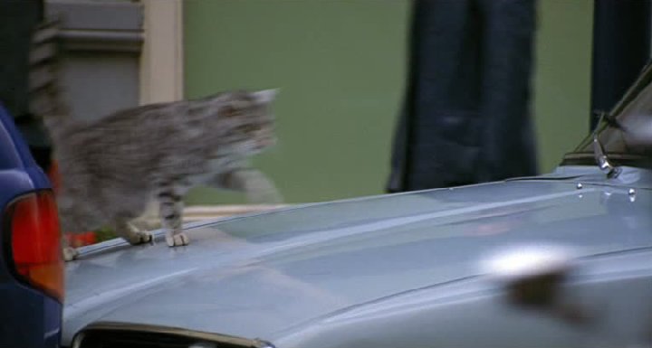 1967 Renault 16 [R1150]