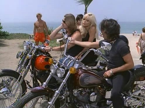 Harley-Davidson Softail Custom