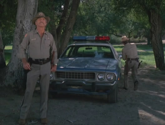 1973 Plymouth Satellite 4-Door Sedan [RL41]