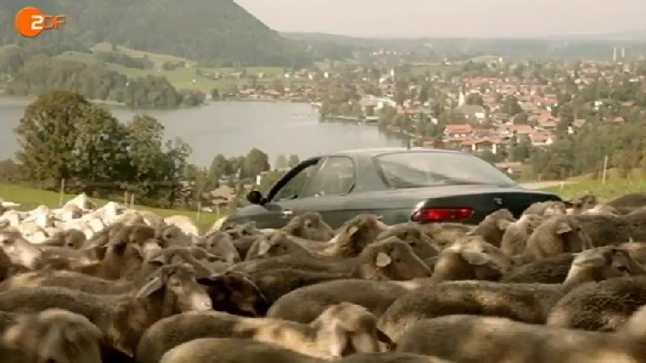 1998 Alfa Romeo 156 [932]