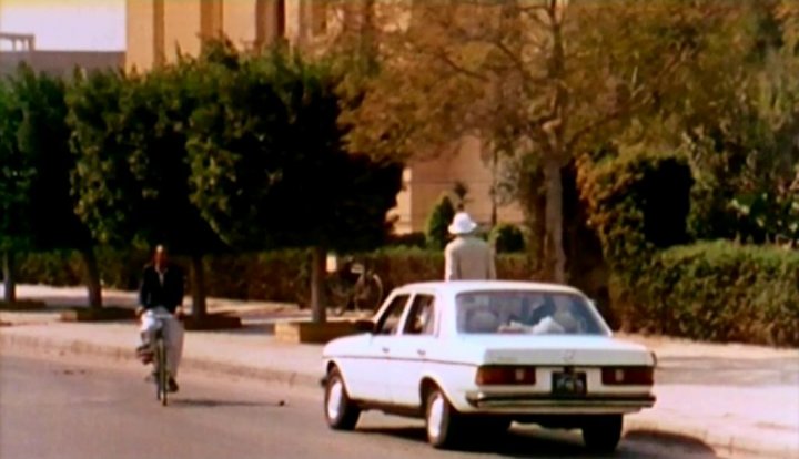 Mercedes-Benz [W123]