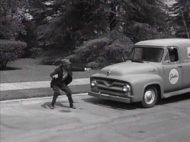 1955 Ford F-100 Panel