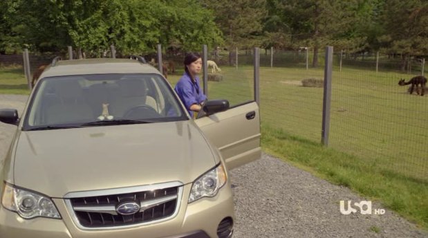 2009 Subaru Outback 2.5i PZEV [BP]