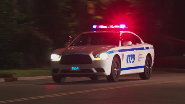 2012 Dodge Charger Pursuit [LD]