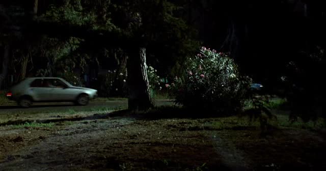 1980 Renault 14 TS [R1212]