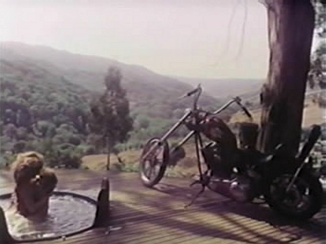 Harley-Davidson Chopper