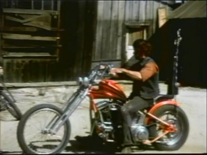 Harley-Davidson Panhead Chopper