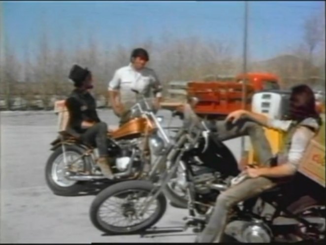 Harley-Davidson Chopper