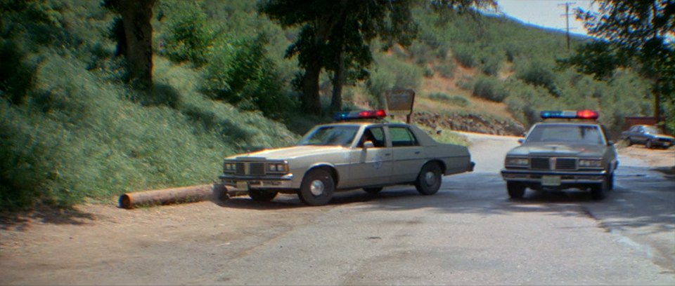 1978 Pontiac Catalina