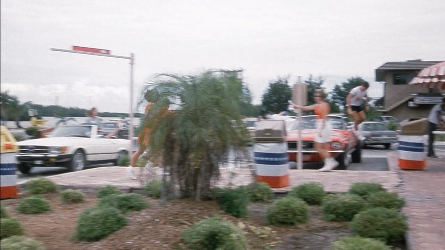 1974 Mercedes-Benz SL [R107]