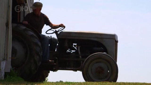 Ferguson TE 20 'Fergie'