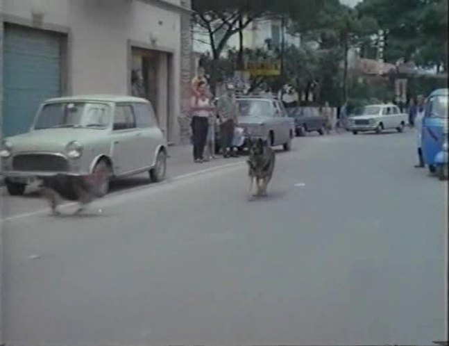 1966 Innocenti Mini Minor MkI