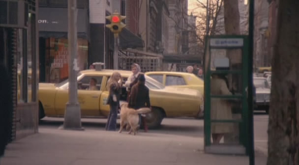 1971 Chevrolet Biscayne