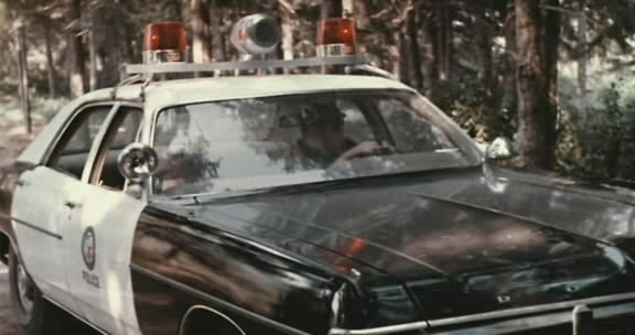 1970 Dodge Polara